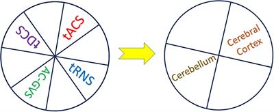 Editorial: Insights into the mechanisms of transcranial electrical stimulation